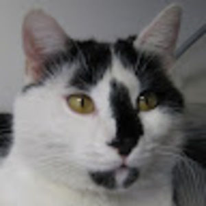 Meet your Posher, Eileen c